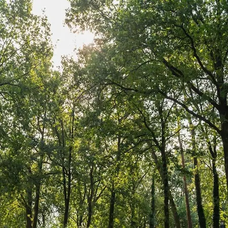 Дом отдыха Stylish In The Woods, Cleaning Included *